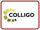 colligo
